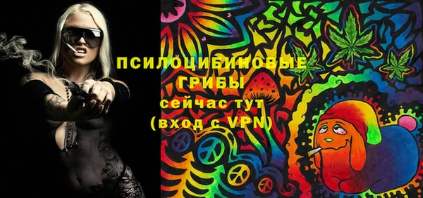 стаф Приозерск