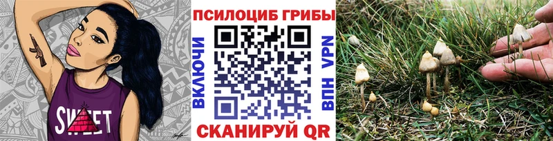 Псилоцибиновые грибы Psilocybe  наркота  Старица 